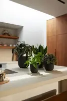 Elho bloempot Jazz Rond 16cm Living black - afbeelding 7