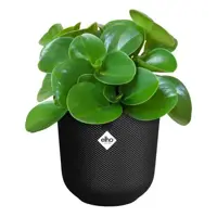 Elho bloempot Jazz rond 19cm Living Black - afbeelding 5