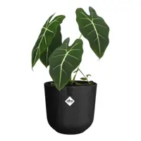Elho bloempot Jazz rond 23 cm Living Black - afbeelding 6