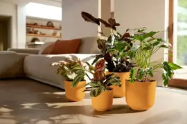 Elho Bloempot Jazz rond 35cm Amber Geel - afbeelding 6