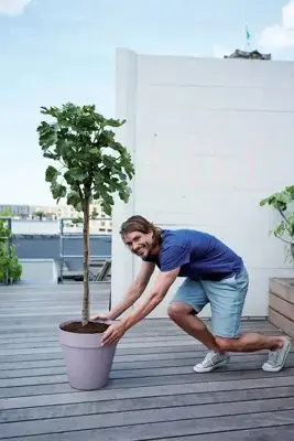 Elho bloempot Loft Urban rond 20cm lavendel lila - afbeelding 6