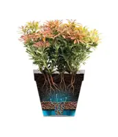 Elho bloempot Loft Urban rond 20cm lavendel lila - afbeelding 7
