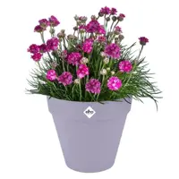 Elho bloempot Loft Urban rond 20cm lavendel lila - afbeelding 2