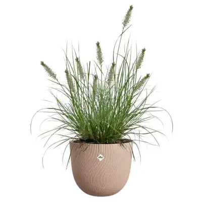 Elho bloempot Sereh 30cm koele klei - afbeelding 5