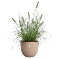 Elho bloempot Sereh 30cm koele klei - afbeelding 5