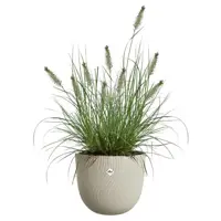 Elho bloempot Sereh 30cm paddenstoel beige - afbeelding 5