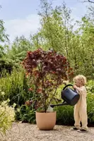 Elho bloempot Sereh 47cm koele klei - afbeelding 6