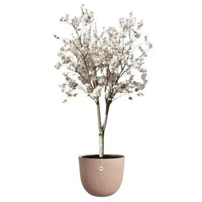 Elho bloempot Sereh 47cm koele klei - afbeelding 4
