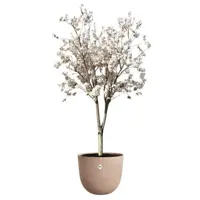 Elho bloempot Sereh 47cm koele klei - afbeelding 4