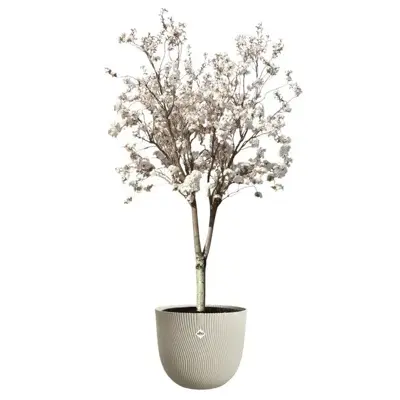 Elho bloempot Sereh 47cm paddenstoel beige - afbeelding 4