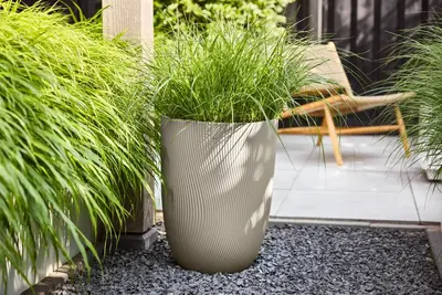 elho bloempot sereh hoog d40 h53cm Paddenstoel beige - afbeelding 5