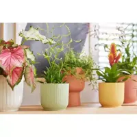 Elho bloempot Vibes fold rond 16x15cm sorbet groen - afbeelding 2