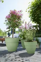 Elho bloempot Vibia Campana 25cm Pistachegroen - afbeelding 5