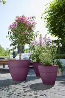 elho bloempot vibia campana rond d35 h30cm Esdoorn paars - afbeelding 4