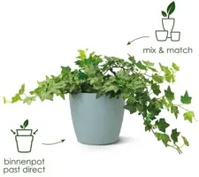 Elho brussels bloempot rond 16 cm wit - afbeelding 7