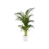Elho brussels bloempot rond 16 cm wit - afbeelding 2
