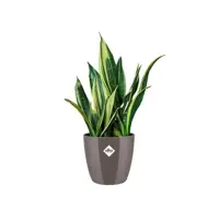 Elho brussels diamond bloempot rond 16 cm oyster pearl - afbeelding 3