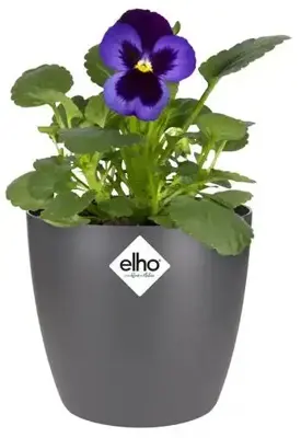 Elho brussels mini bloempot rond 10,5 cm antraciet - afbeelding 3