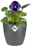 Elho brussels mini bloempot rond 10,5 cm antraciet - afbeelding 3