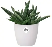 Elho Brussels Mini bloempot rond 10,5 cm wit - afbeelding 2