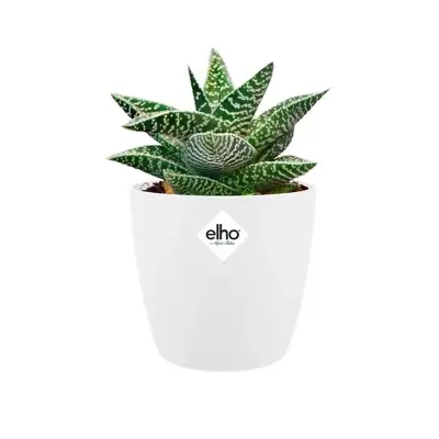 Elho Brussels Mini bloempot rond 10,5 cm wit - afbeelding 3