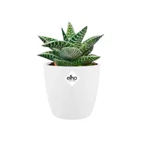 Elho Brussels Mini bloempot rond 10,5 cm wit - afbeelding 4