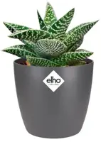 Elho brussels mini bloempot rond 9,5 cm antraciet - afbeelding 3