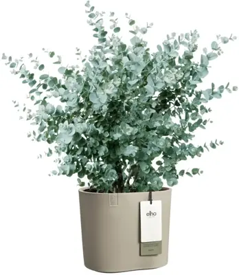 Elho Eden 25 - Grijs - L 26 x B 25 x H 23 cm - Binnen en Buiten - 100% gerecycled - afbeelding 2