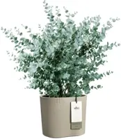Elho Eden 25 - Grijs - L 26 x B 25 x H 23 cm - Binnen en Buiten - 100% gerecycled - afbeelding 2