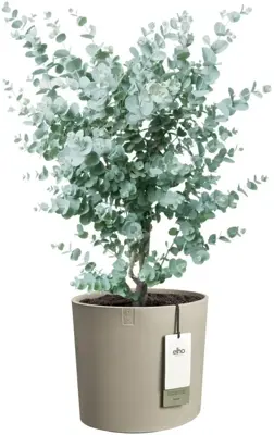 Elho Eden 30 - Grijs - L 31 x B 30 x H 28 cm - Binnen en Buiten - 100% gerecycled - afbeelding 2