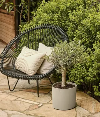 Elho Eden 30 - Grijs - L 31 x B 30 x H 28 cm - Binnen en Buiten - 100% gerecycled - afbeelding 6