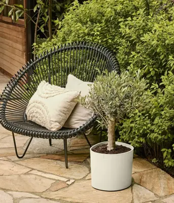 Elho Eden 30 - Wit - L 31 x B 30 x H 28 cm - Binnen en Buiten - 100% gerecycled - afbeelding 6