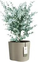 Elho Eden 35 - Grijs - L 36 x B 32 x H 32 cm - Binnen en Buiten - 100% gerecycled - afbeelding 2