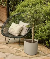 Elho Eden 35 - Grijs - L 36 x B 32 x H 32 cm - Binnen en Buiten - 100% gerecycled - afbeelding 6
