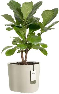 Elho Eden 35 - Wit - L 36 x B 36 x H 32 cm - Binnen en Buiten - 100% gerecycled - afbeelding 2