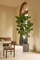 Elho Eden Aquacare High 40 - Grijs - L 43 x B 39 x H 50 cm - Binnen en Buiten - 100% gerecycled - afbeelding 5