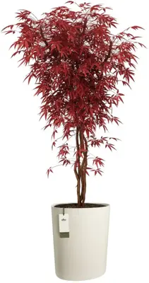 Elho Eden Aquacare High 40 - Wit - L 43 x B 39 x H 50 cm - Binnen en Buiten - 100% gerecycled - afbeelding 2