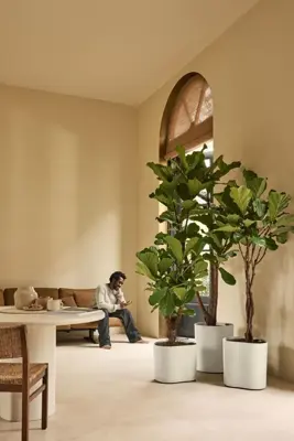 Elho Eden Aquacare Medium 40 - Wit - L 42 x B 38 x H 42 cm - Binnen en Buiten - 100% gerecycled - afbeelding 5