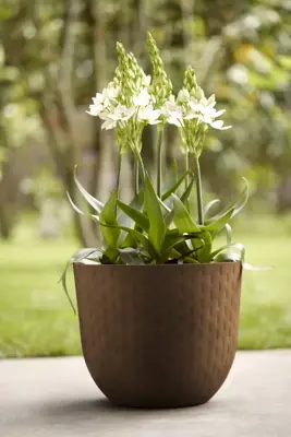 Elho Fuente Grains Rond kunststof bloempot rond 38 cm roestbruin - afbeelding 2