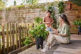 Elho Green Basics aardbeien pot 33cm living black - afbeelding 5