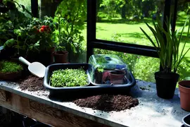 Elho green basics garden tray living black - afbeelding 3