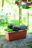 Elho green basics garden xxl plantenbak 80 cm mild terra - afbeelding 2