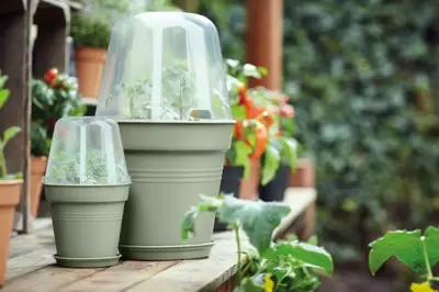 Elho Green Basics kweekpot 11cm steengroen - afbeelding 4