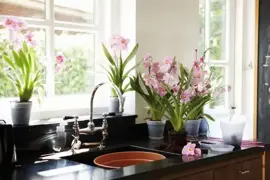 Elho green basics kweekpot orchidee 15 transparant - afbeelding 5