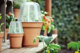 Elho Green Basics kweekpot orchidee 17 transparant - afbeelding 5