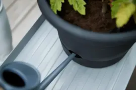 Elho green basics tomatenpot 33 cm living black - afbeelding 4