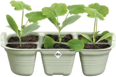 Elho Green Basics zaaitray 22cm steengroen - afbeelding 1