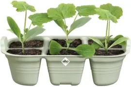 Elho Green Basics zaaitray 22cm steengroen - afbeelding 1