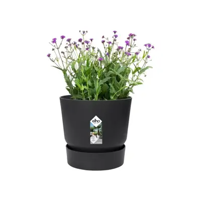 Elho Greenville bloempot 14 cm living black - afbeelding 3