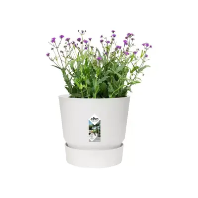 Elho Greenville bloempot 14 cm wit - afbeelding 3